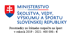 Financovanie športu v roku 2020